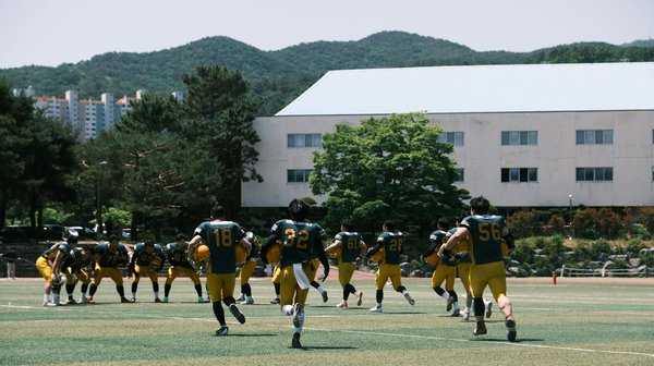 Welche Trends prägen den deutschen Immobilienmarkt?